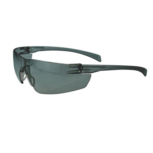 Radians SE1-21 Safety Glasses Smoke Frame, Smoke Anti-Fog Lens Pack of 12